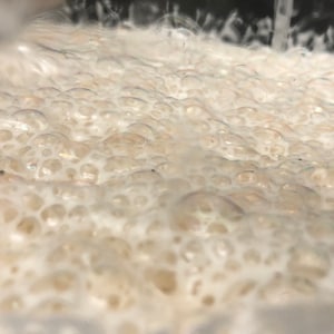 May include: Close-up of a white, foamy substance with small bubbles. The substance appears to be in a glass container.