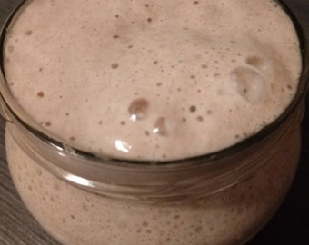 Démarreur au levain LIQUIDE San Francisco (200 g de levain, pot Mason d'un litre et 1er aliment de farine inclus)