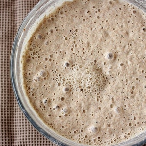 May include: A close-up of a glass bowl filled with a light brown, bubbly mixture. The mixture has a grainy texture and is filled with small air bubbles.