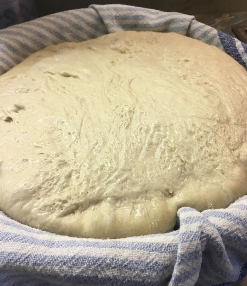 May include: A close-up of a white dough rising in a blue and white striped bowl. The dough is covered with a white cloth.