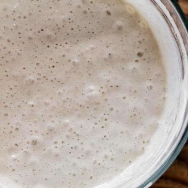 Mom's Favorite Sourdough Starter; family heirloom