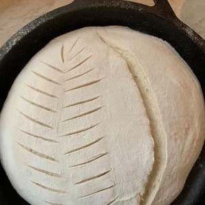 May include: A close-up of a loaf of sourdough bread in a cast iron Dutch oven. The bread has been scored with a leaf design and is ready to be baked.