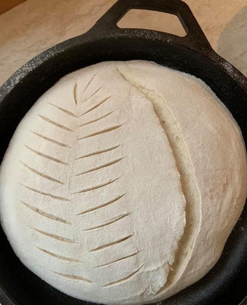 May include: A close-up of a loaf of sourdough bread in a cast iron Dutch oven. The bread has been scored with a leaf design and is ready to be baked.