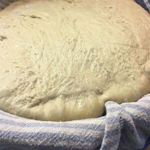 May include: A close-up of a white dough rising in a blue and white striped kitchen towel. The dough is covered in bubbles and has a smooth, shiny surface.