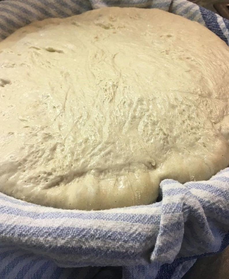 May include: A close-up of a white dough rising in a blue and white striped kitchen towel. The dough is covered in bubbles and has a smooth, shiny surface.