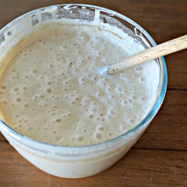 San Francisco LIQUID Sourdough Starter (6oz)