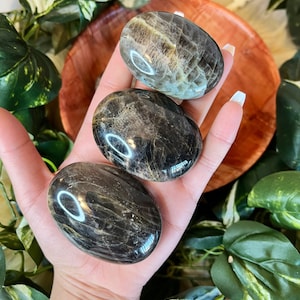 Black Moonstone Palmstones