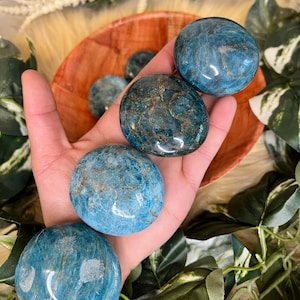Blue Apatite Palmstones • Achievement Stone • Throat Chakra Stones • Healing Palmstones • Personal Power Palm Stones