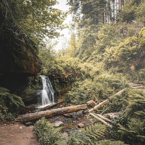 Little Yad Waterfall in Maspie Den  // Photography Print