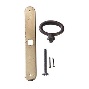 May include: A brass-colored rectangular metal plate with two screw holes and a central square cutout, a dark oval metal ring pull, one long threaded bolt, and two small metal nails, all arranged on a plain white background for assembly.