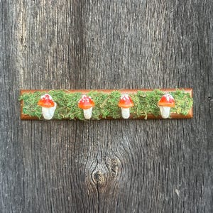 May include: A wooden wall hook with four red and white mushroom-shaped hooks. The hooks are attached to a wooden base with green moss.