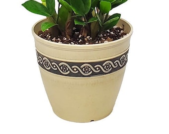 Resin Concrete Planter - 8" Diameter Pot, 7" Tall - Plastic Plant Pot - Resin Planter - Garden Decorations - Plant Lover Gift