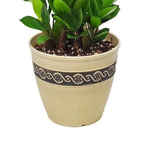 Resin Concrete Planter - 8&quot; Diameter Pot, 7&quot; Tall - Plastic Plant Pot - Resin Planter - Garden Decorations - Plant Lover Gift
