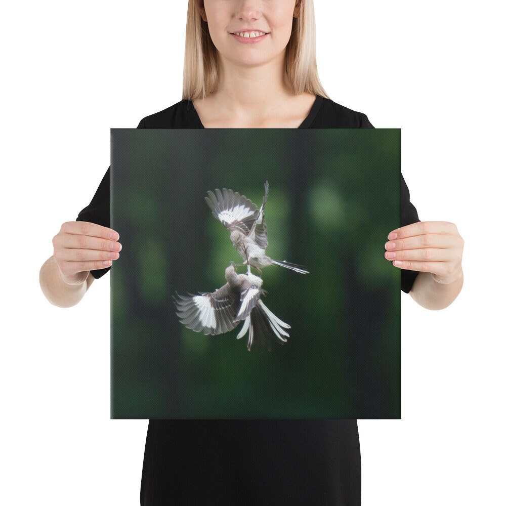 Mockingbirds in Flight | Detailed Canvas Print | Square Wall Art - Etsy