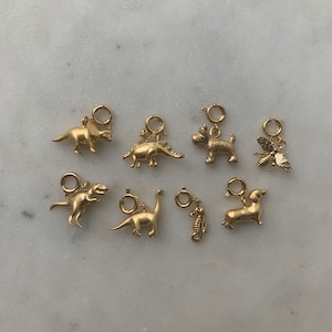 Encantos de colar de animais