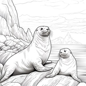 May include: A black and white line drawing of two seals resting on a rocky shore. The larger seal is looking up at the sky, while the smaller seal is looking at the viewer. The background shows a rocky coastline and a mountainous landscape.