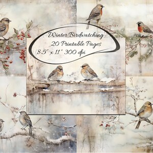 May include: A set of 20 printable pages featuring watercolour illustrations of birds in a wintery setting. The birds are perched on branches covered in snow and red berries. The text "Winter Birdwatching 20 Printable Pages 8.5" x 11" 300 dpi" is visible in the centre of the image.