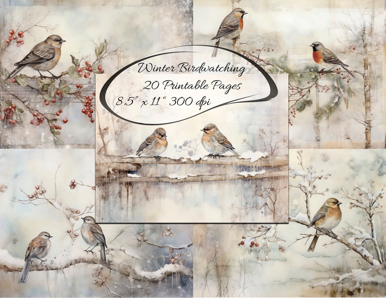 May include: A set of 20 printable pages featuring watercolour illustrations of birds in a wintery setting. The birds are perched on branches covered in snow and red berries. The text "Winter Birdwatching 20 Printable Pages 8.5" x 11" 300 dpi" is visible in the centre of the image.