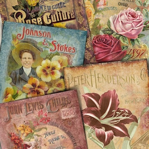 Puede incluir: Paquetes de semillas de flores vintage con ilustraciones de rosas, lirios y pensamientos. Los paquetes presentan texto como "The New Guide to Rose Culture", "Johnson & Stokes", "Peter Henderson & Co" y "John Lewis Childs".