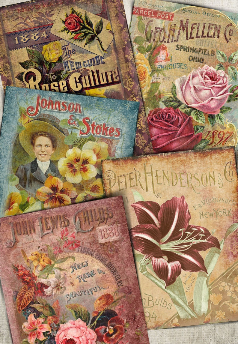 Puede incluir: Paquetes de semillas de flores vintage con ilustraciones de rosas, lirios y pensamientos. Los paquetes presentan texto como "The New Guide to Rose Culture", "Johnson & Stokes", "Peter Henderson & Co" y "John Lewis Childs".