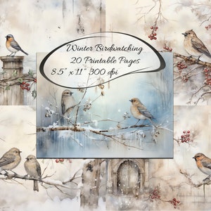 May include: A digital collage of 20 printable pages featuring winter birdwatching scenes. The pages are 8.5 inches by 11 inches and 300 dpi. The images depict birds perched on branches, with snow and red berries in the background.