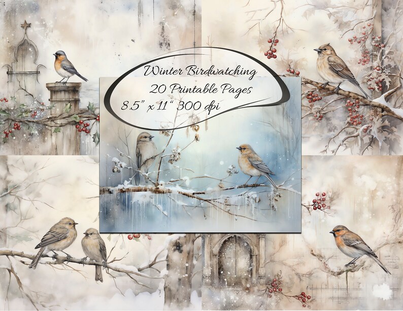 May include: A digital collage of 20 printable pages featuring winter birdwatching scenes. The pages are 8.5 inches by 11 inches and 300 dpi. The images depict birds perched on branches, with snow and red berries in the background.