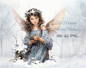 Winter Flower Fairy 20 Bilder - Cecily Mary Barker Style (JPG)