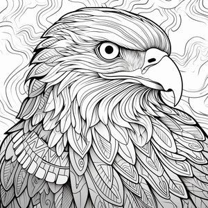 May include: A detailed black and white line drawing of an eagle's head with intricate feather patterns. The eagle's eye is large and round, and its beak is sharp and pointed.