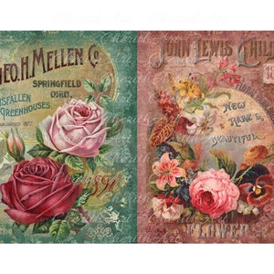 Puede incluir: Dos anuncios florales vintage. El anuncio de la izquierda es verde y presenta una rosa rosa y blanca con el texto "The Geo. H. Mellen Co. Springfield Ohio. Innisfallen Greenhouses Established 1877". El anuncio de la derecha es rosa y presenta un ramo de flores con el texto "John Lewis Childs 1888 Floral Park Queens Co. NY New Rare & Beautiful Flower".