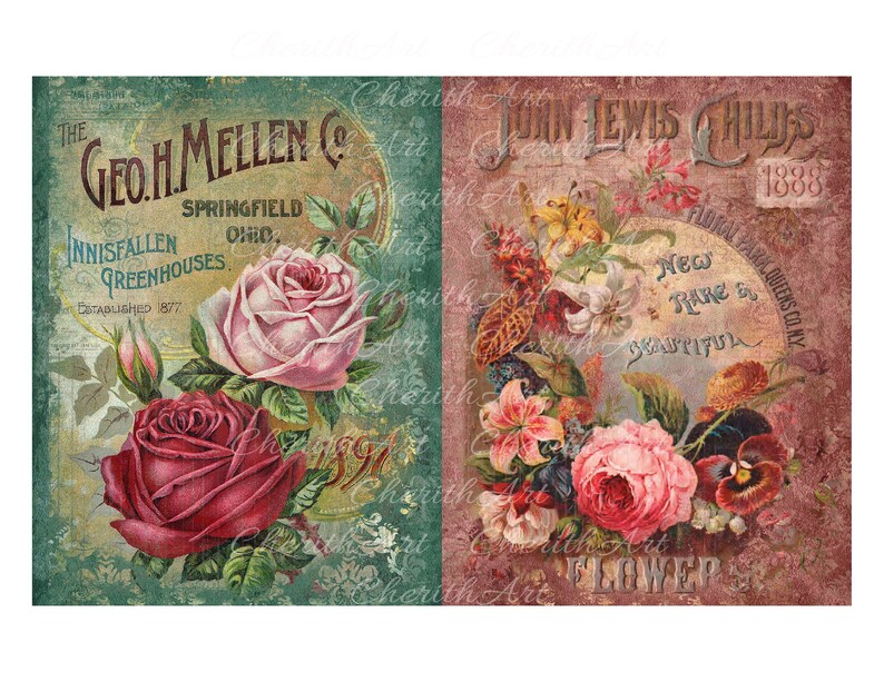 Puede incluir: Dos anuncios florales vintage. El anuncio de la izquierda es verde y presenta una rosa rosa y blanca con el texto "The Geo. H. Mellen Co. Springfield Ohio. Innisfallen Greenhouses Established 1877". El anuncio de la derecha es rosa y presenta un ramo de flores con el texto "John Lewis Childs 1888 Floral Park Queens Co. NY New Rare & Beautiful Flower".