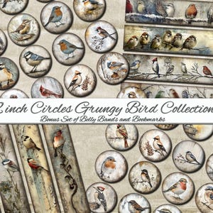 Grungy Bird 2" cercles imprimables Journal shabby Chic numérique 2 pouces illustré feuille de collage numérique ronde vintage à téléchargement immédiat