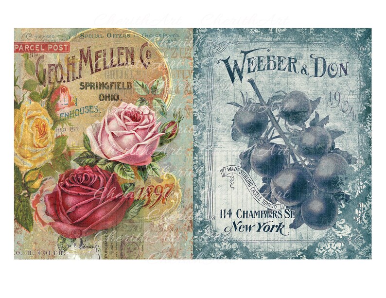 Puede incluir: Dos anuncios vintage. El anuncio de la izquierda presenta un ramo de rosas rosas, rojas y amarillas con el texto "Geo. H. Mellen Co. Springfield Ohio." El anuncio de la derecha presenta una ilustraci&oacute;n azul y blanca de tomates con el texto "Weeder & Don 114 Chambers St. New York."