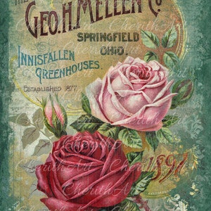 Puede incluir: Anuncio vintage para Geo. H. Mellen Co. Greenhouses, establecido en 1877 en Springfield, Ohio. El anuncio presenta dos rosas, una rosa y otra roja, con hojas verdes y un fondo verde y dorado descolorido.