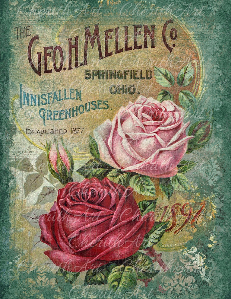 Puede incluir: Anuncio vintage para Geo. H. Mellen Co. Greenhouses, establecido en 1877 en Springfield, Ohio. El anuncio presenta dos rosas, una rosa y otra roja, con hojas verdes y un fondo verde y dorado descolorido.