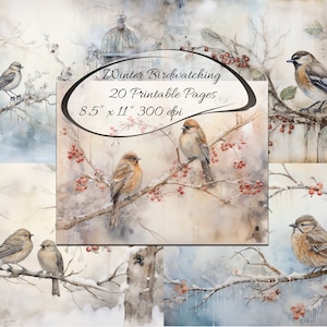May include: A digital collage of 20 printable pages featuring watercolour illustrations of birds perched on snowy branches. The text "Winter Birdwatching" and "8.5" x 11" 300 dpi" is included in the image.