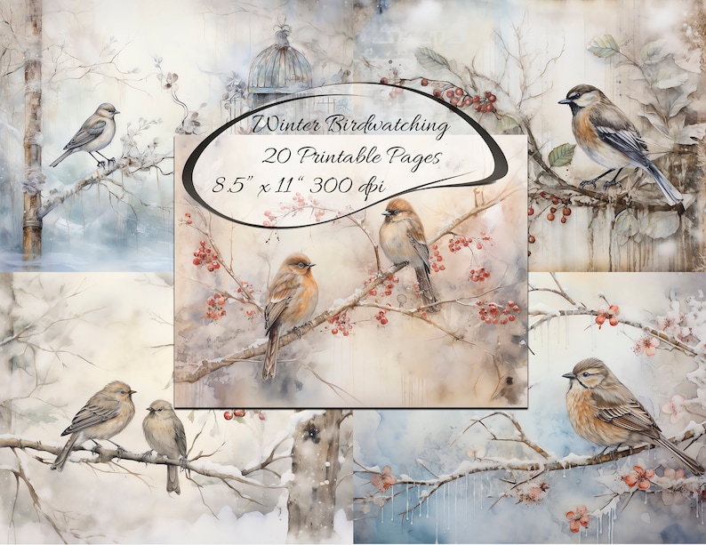 May include: A digital collage of 20 printable pages featuring watercolour illustrations of birds perched on snowy branches. The text "Winter Birdwatching" and "8.5" x 11" 300 dpi" is included in the image.