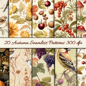 Edith Holden Inspired Autumn Backing Papers Pack 2 - 20 Original Seamless Fall Patterns - Fall Junk Journal - Naturalist Illustrations