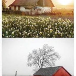 Barn 2