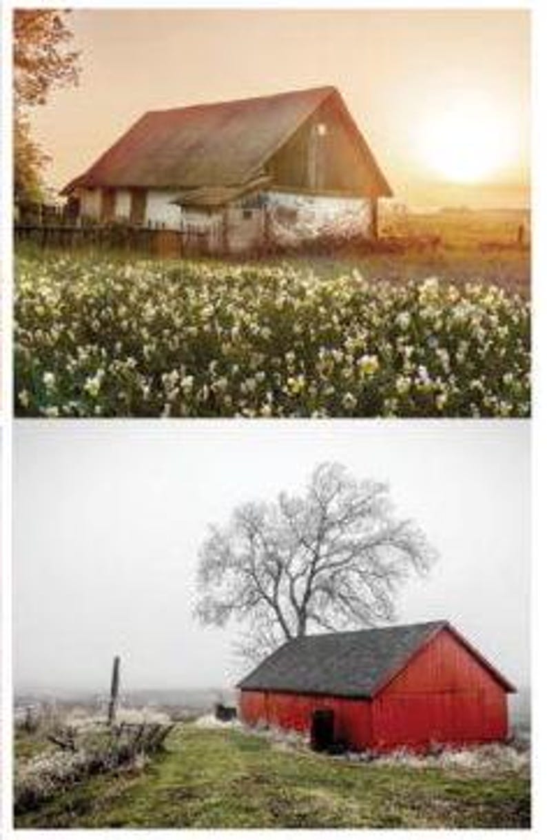 Barn 2