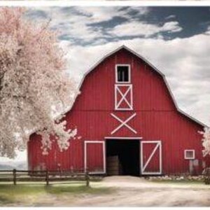 May include: A red barn with white trim and a large wooden door. The barn is surrounded by two blooming pink trees and a wooden fence.