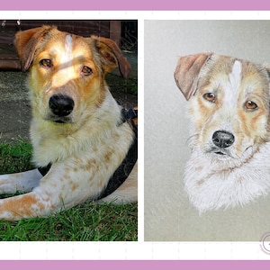 Custom Hand Drawn Pet Portrait | Pet Memorial | New Pet Gift | Chalk Pastel Pet Portrait