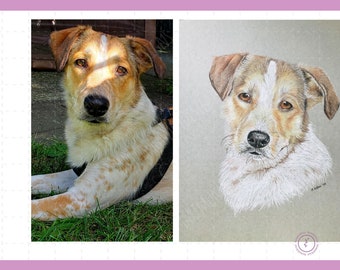 Custom Hand Drawn Pet Portrait | Pet Memorial | New Pet Gift | Chalk Pastel Pet Portrait