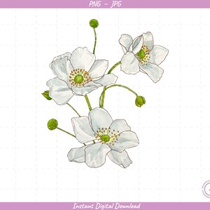 White Flowers Sublimation Clip Art / Watercolor Flowers / Hand Drawn / Digital Download