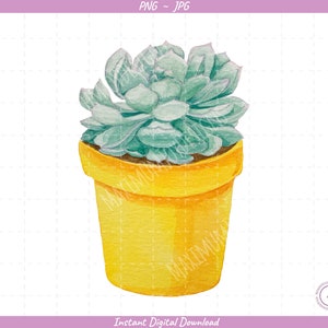 Succulent Sublimation Clip Art / Watercolor Succulent / Hand Drawn / Digital Download