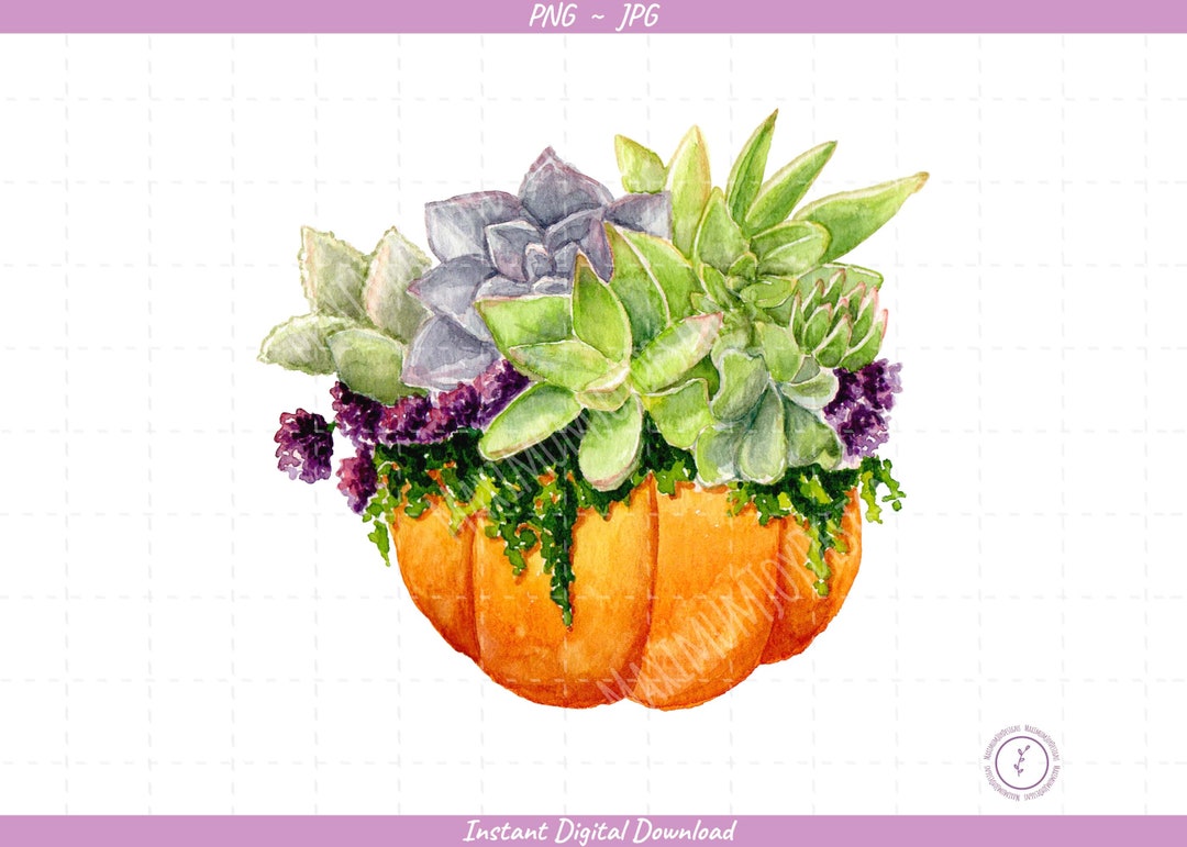 Succulent Pumpkin Sublimation Clip Art / Watercolor Pumpkin / Hand ...
