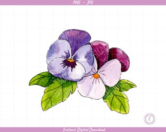 Purple Pansies Sublimation Clip Art / Watercolor Pansy / Hand Drawn / Digital Download