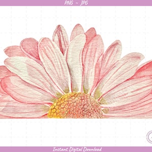 Daisy Watercolor Sublimation Clip Art / Watercolor Daisy / Hand Drawn / Digital Download