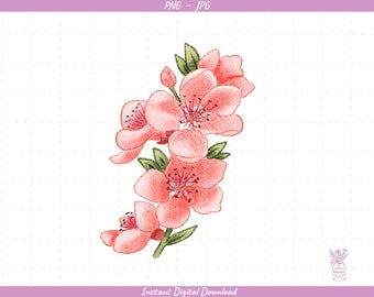 Apple Blossom Sublimation Clip Art / Pink Blossom / Hand Drawn / Digital Download