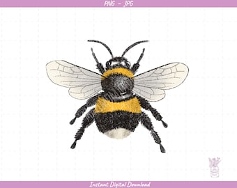 Bee Sublimation Clip Art / Bumblebee / Honey Bee / Hand Drawn / Digital Download