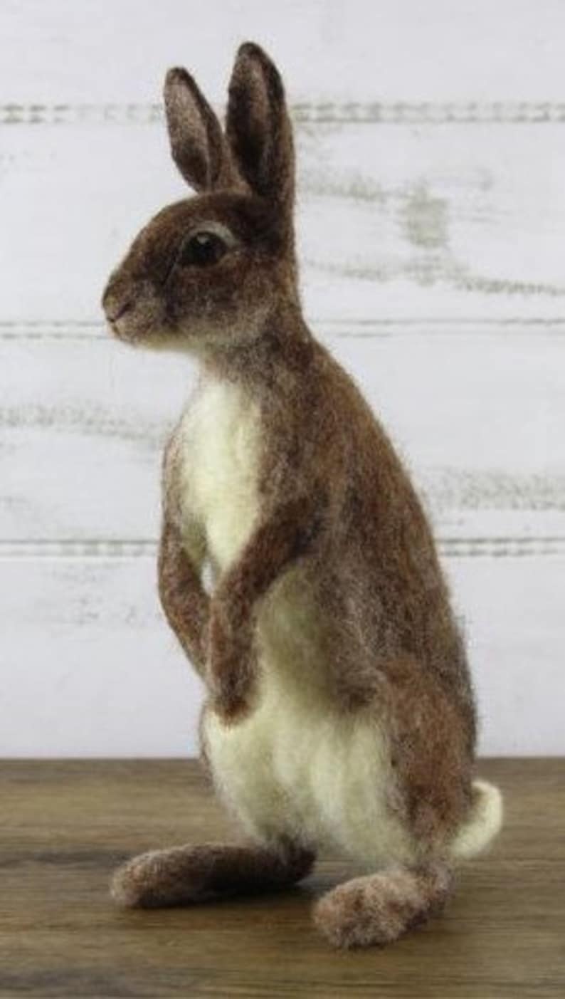 World of Wool Romeo Rabbit Needle Felting Kit Detailed Etsy UK